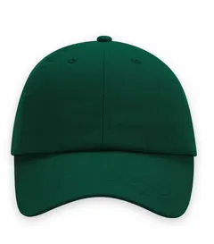 Dad cap i flaskgrön